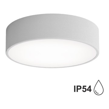 Badeværelsesloftlampe med sensor CLEO, 2x E27, maks. 24 W, 230 V, Ø 30 cm, grå, IP54