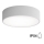 Badeværelsesloftlampe med sensor CLEO, 2x E27, maks. 24 W, 230 V, Ø 30 cm, grå, IP54