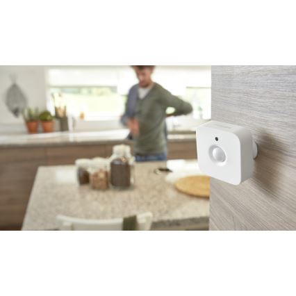 Bevægelsessensor Philips Hue 2xAAA IP42