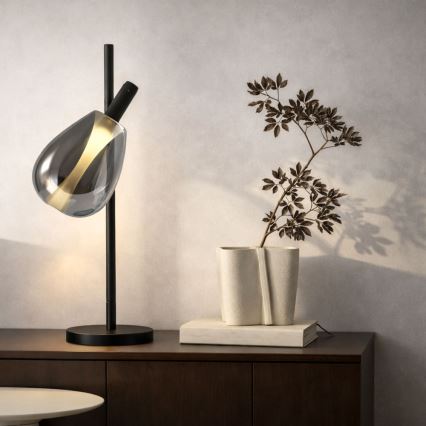 Bordlampe DENSO 1xG9/5W/230V sort krom