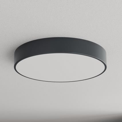 Brilagi - Badeværelsesloftlampe CLARE 4xE27/24W/230V Ø 50 cm antracit IP54