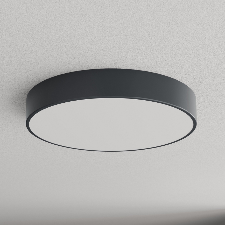 Brilagi - Badeværelsesloftlampe CLARE 4xE27/24W/230V Ø 50 cm antracit IP54