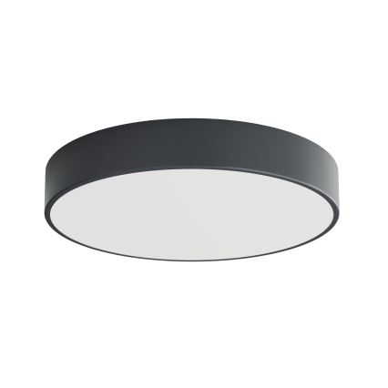 Brilagi - Badeværelsesloftlampe CLARE 4xE27/24W/230V Ø 50 cm antracit IP54