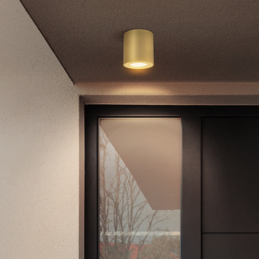 Brilagi - Badeværelses-spot MIA 1xGU10/30W/230V 84x80 mm guld IP54