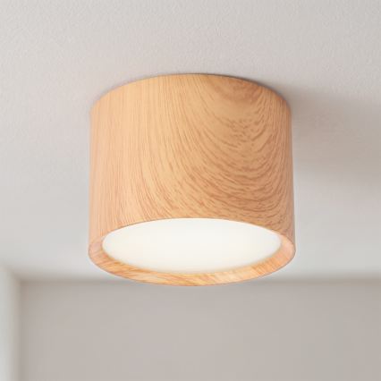 BRILAGI - Badeværelses-spot SMOOTH 1xGX53/15W/230V 60x82 mm i egetræsfiner IP54