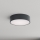 Brilagi - Badeværelsesloftlampe CLARE 2xE27/24W/230V Ø 30 cm antracit IP54