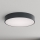 Brilagi - Badeværelsesloftlampe CLARE 4xE27/24W/230V Ø 50 cm antracit IP54