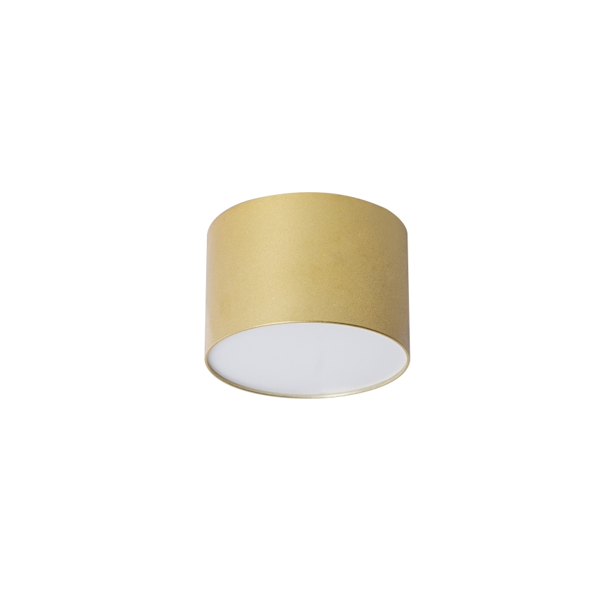 BRILAGI - Loftlampe til badeværelse FORIS LED/9W/230V Ø 9 cm guldfarvet IP44 CRI 90