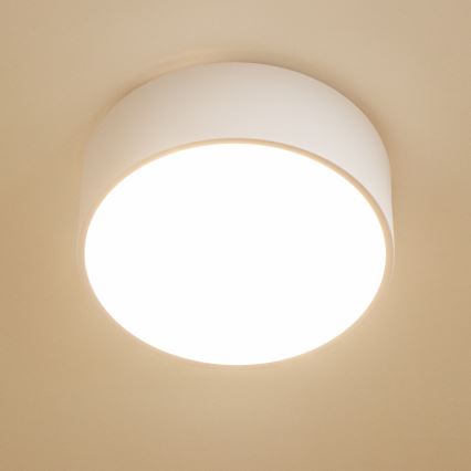 Brilagi - Badeværelsesloftlampe POOL 2xE27/15W/230V Ø 30 cm IP54 hvid