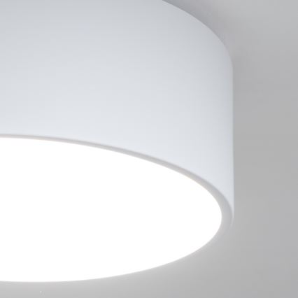 Brilagi - Badeværelsesloftlampe POOL 2xE27/15W/230V Ø 30 cm IP54 hvid