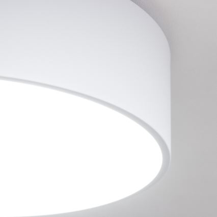 Brilagi - Badeværelsesloftlampe POOL 3xE27/15W/230V Ø 40 cm IP54 hvid