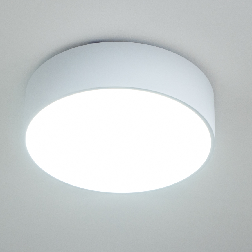 Brilagi - Badeværelsesloftlampe POOL 3xE27/15W/230V Ø 40 cm IP54 hvid