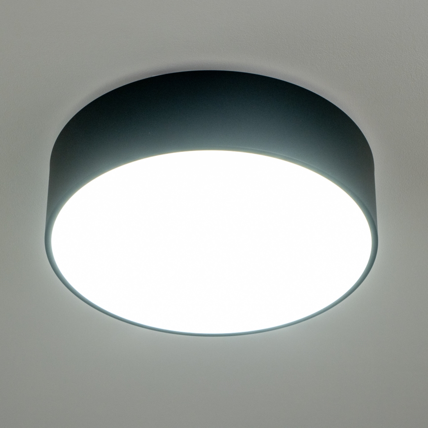 BRILAGI - Badeværelsesloftlampe POOL 3xE27/15W/230V Ø 40 cm IP54 sort