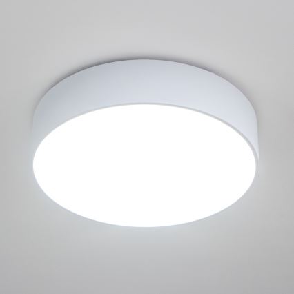 Brilagi - Badeværelsesloftlampe POOL 4xE27/15W/230V Ø 50 cm IP54 hvid