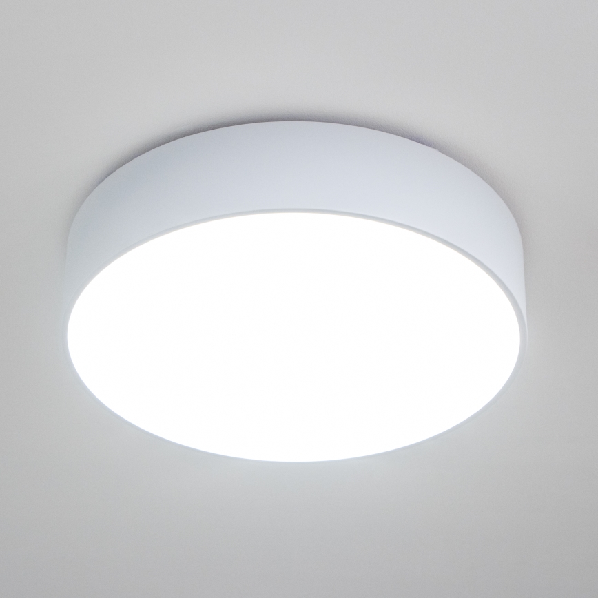 Brilagi - Badeværelsesloftlampe POOL 4xE27/15W/230V Ø 50 cm IP54 hvid