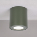 BRILAGI - Badeværelsesspot MIA 1xGU10/30W/230V 60x82 mm 84x80 mm mørkegrøn IP54