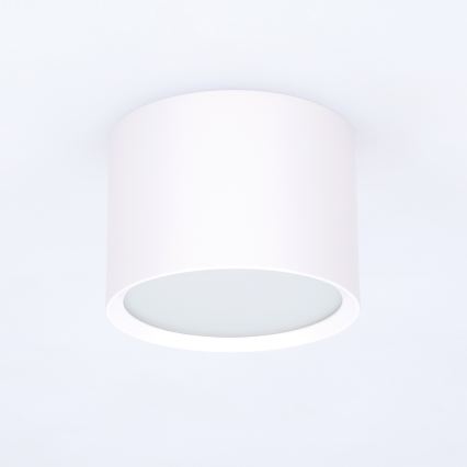 BRILAGI - Badeværelsesspot SMOOTH 1xGX53/15W/230V 60x82 mm hvid IP54