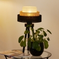 Brilagi - Bordlampe ASPEN LUNETA 1xE27/15W/230V sort/beige/kremet