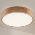 Brilagi - CARVALHO LED loftlampe 36W/230V, eg, Ø 47,5 cm