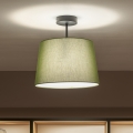 Brilagi - CERIA LED overflademonteret loftlampe 1xE27/60W/230V Ø 30 cm sort/grøn