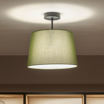 Brilagi - CERIA LED overflademonteret loftlampe 1xE27/60W/230V Ø 30 cm sort/grøn