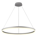 Brilagi - CIRCLE LED-dæmpbar pendel med wire, 55W/230V, 3000–6500K, Ø 80 cm, sølv + fjernbetjening