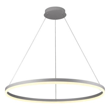 Brilagi - CIRCLE LED-dæmpbar pendel med wire, 55W/230V, 3000–6500K, Ø 80 cm, sølv + fjernbetjening