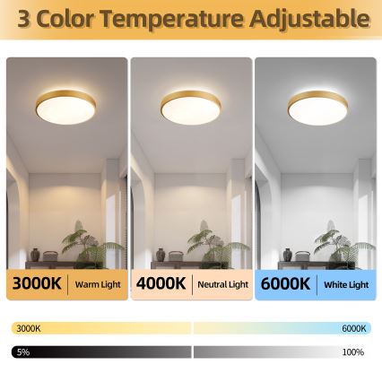 Brilagi - Dæmpbar LED-loftlampe GLASS POOL DOUBLE LED/48W/230V 3000-6000K 40 cm guld + fjernbetjening