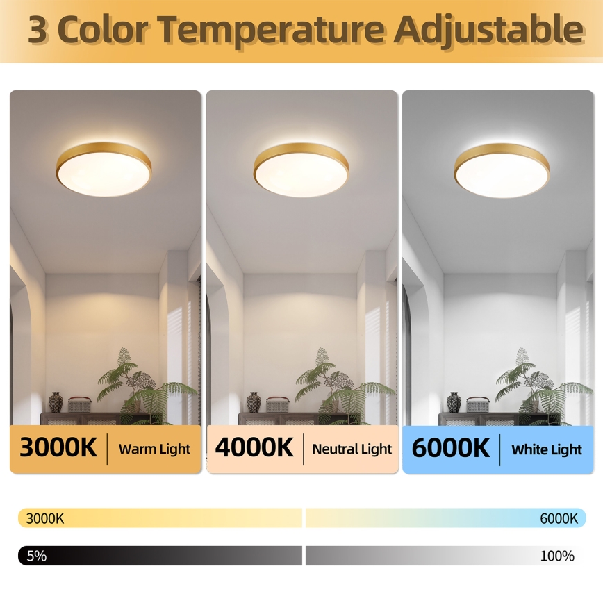Brilagi - Dæmpbar LED-loftlampe GLASS POOL DOUBLE LED/48W/230V 3000-6000K 40 cm guld + fjernbetjening