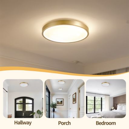 Brilagi - Dæmpbar LED-loftlampe GLASS POOL DOUBLE LED/48W/230V 3000-6000K 40 cm guld + fjernbetjening