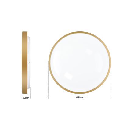 Brilagi - Dæmpbar LED-loftlampe GLASS POOL DOUBLE LED/48W/230V 3000-6000K 40 cm guld + fjernbetjening