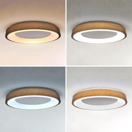 Brilagi - Dæmpbar LED-loftlampe DORIA LED/60W/230V 3000-6500K Ø 60 cm + fjernbetjening