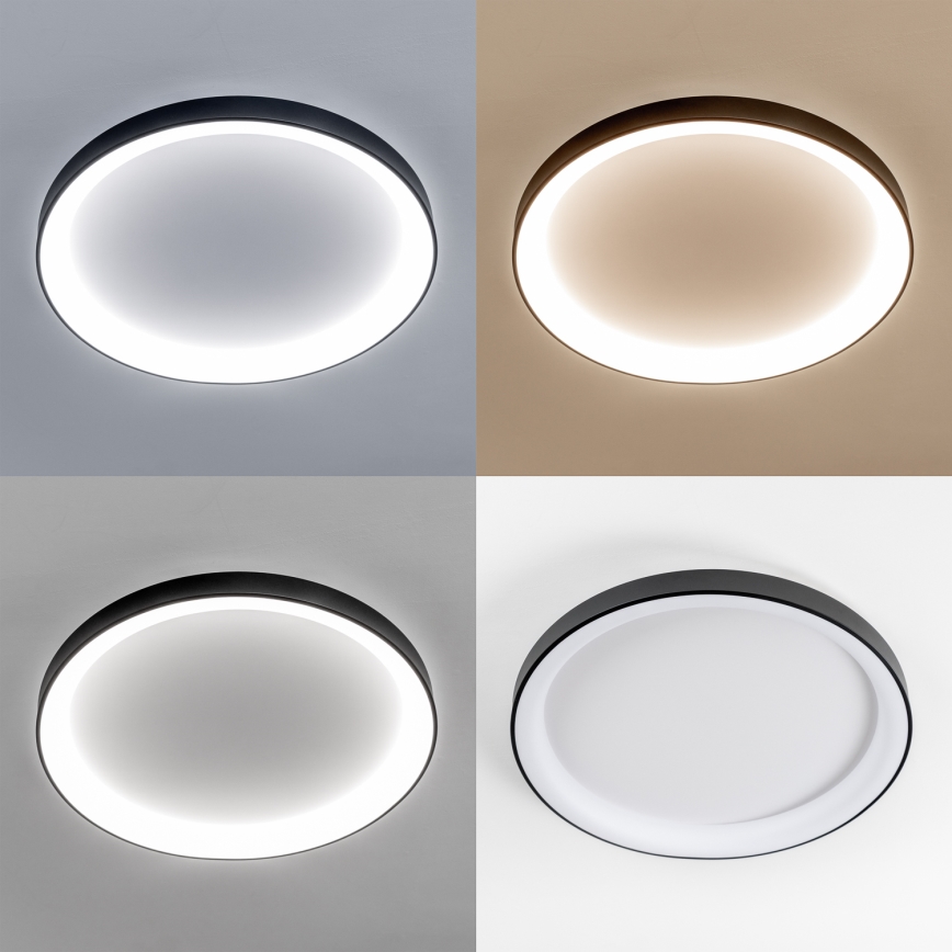 Brilagi - LED-dæmpbar loftlampe FALCON II LED/108W/230V 3000–6500K Ø 80 cm sort + fjernbetjening