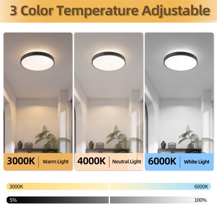 Brilagi - LED-dæmpbar loftlampe GLASS POOL DOUBLE LED/48W/230V 3000-6000K 40 cm sort + fjernbetjening