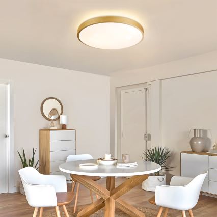 Brilagi - LED dæmpbar loftlampe GLASS POOL DOUBLE LED/60W/230V 3000-6000K 50 cm guldfarvet + fjernbetjening