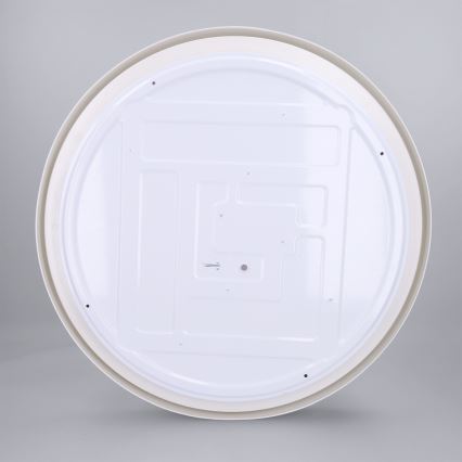 Brilagi - LED dæmpbar loftlampe MATTEO LED/60W/230V 3000-6500K Ø 51,5 cm taupe + fjernbetjening