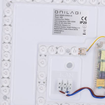 Brilagi - LED-dæmpbar loftlampe NAOMI LED/48W/230V 3000-6500K Ø 39 cm sort + fjernbetjening