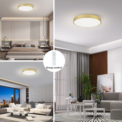 Brilagi - Dæmpbar LED-loftlampe POOL SMART LED/100W/230V 3000-6000K 80 cm guld Wi-Fi Tuya + fjernbetjening