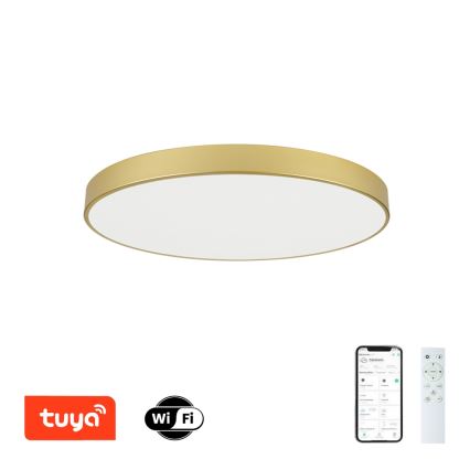 Brilagi - Dæmpbar LED-loftlampe POOL SMART LED/100W/230V 3000-6000K 80 cm guld Wi-Fi Tuya + fjernbetjening