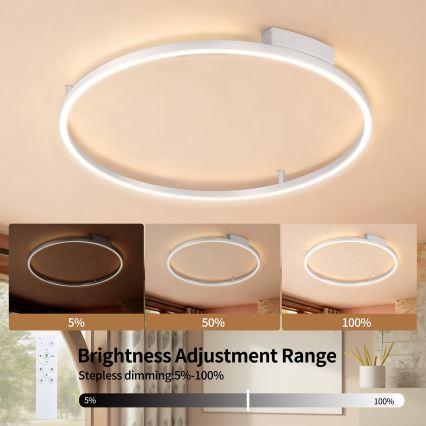 Brilagi - Dæmpbar LED-loftlampe PORTOFINO, 60 W, 230 V, 3000-6000 K, Ø 80 cm, sølv + fjernbetjening