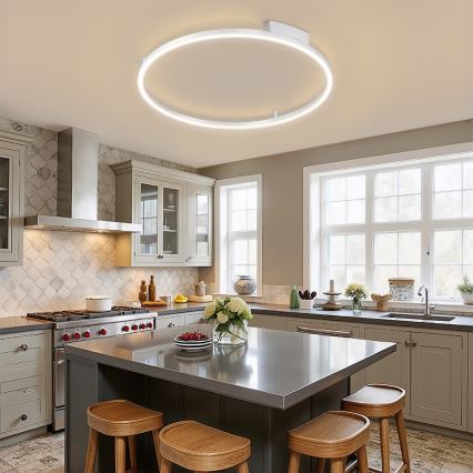 Brilagi - Dæmpbar LED-loftlampe PORTOFINO, 60 W, 230 V, 3000-6000 K, Ø 80 cm, sølv + fjernbetjening