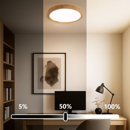 Brilagi - LED Dæmpbar loftlampe WOODROUND LED/30W/230V 3000-6000K Ø 40 cm træ CRI 90 + fjernbetjening