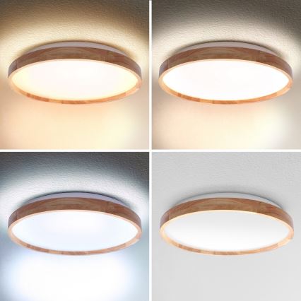 Brilagi - Dæmpbar LED-loftlampe ALSON LED/48W/230V 3000-6500K eg Ø 39,5 cm + fjernbetjening