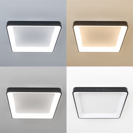 Brilagi - Dæmpbar LED-loftarmatur FALCON II LED/125W/230V 3000-6500K 60x60 cm sort + fjernbetjening