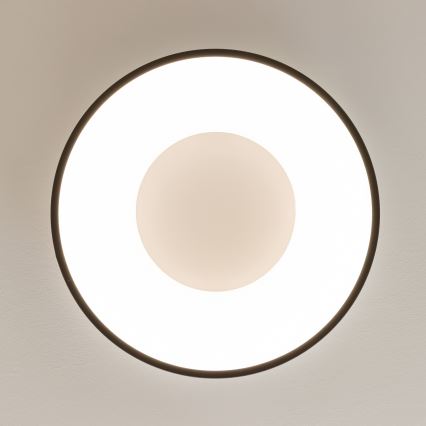 Brilagi - LED-dæmpbar loftlampe FALCON II LED/67W/230V 3000-6500K Ø 40 cm sort + fjernbetjening