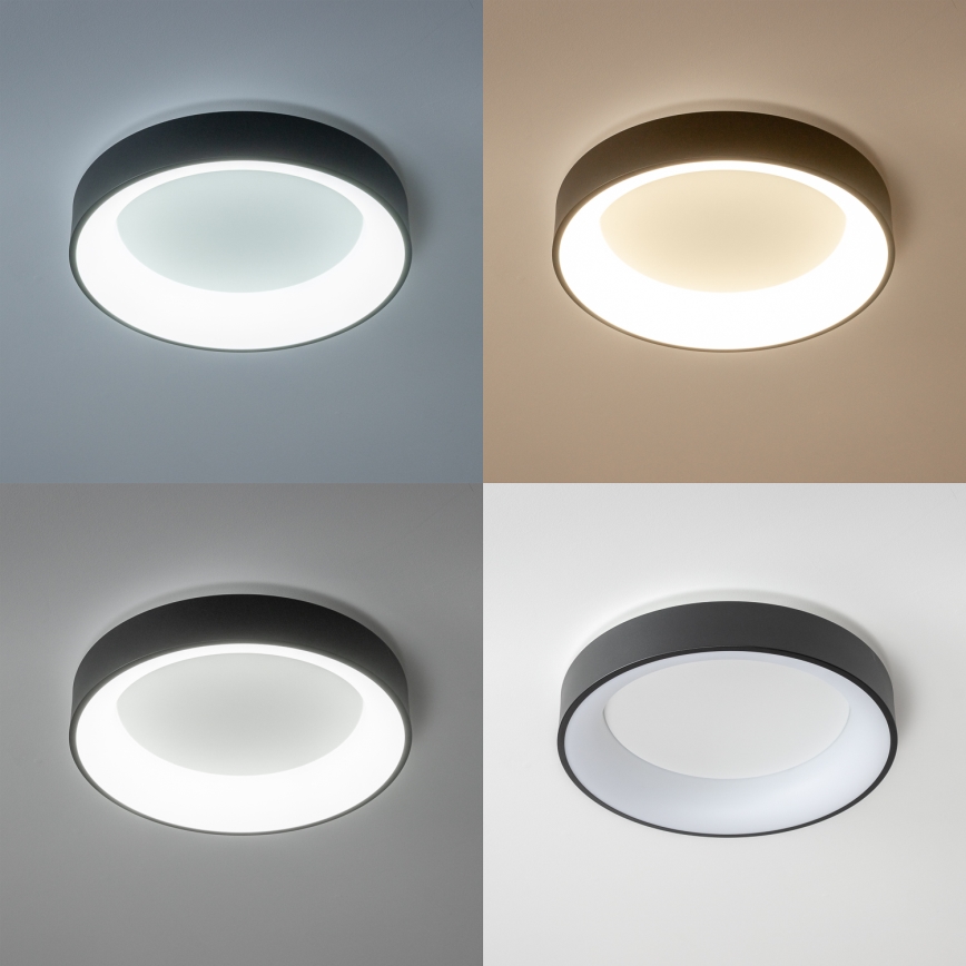 Brilagi - Dæmpbar LED-loftlampe FALCON LED/80W/230V 3000-6500K Ø 60 cm sort + fjernbetjening