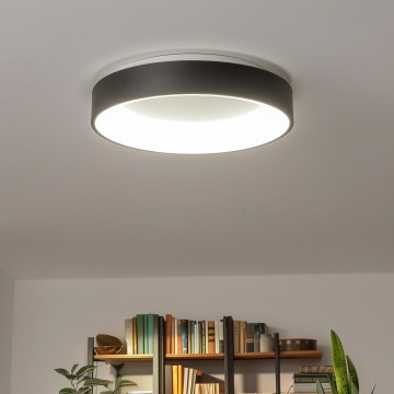 Brilagi - Dæmpbar LED-loftlampe FALCON LED/80W/230V 3000-6500K Ø 60 cm sort + fjernbetjening