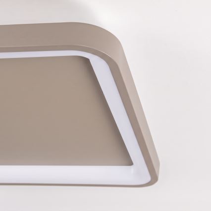 BRILAGI - dæmpbar LED-loftlampe FALCON SLIM LED/50W/230V 3000-6500K 50x50 cm beige + fjernbetjening