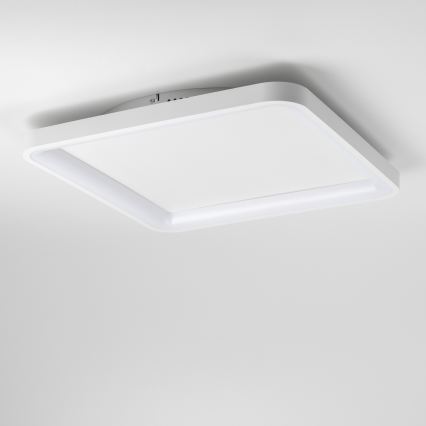 Brilagi - LED-dæmpbar loftlampe FALCON SLIM LED/50W/230V 3000-6500K 50x50 cm hvid + fjernbetjening
