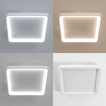 Brilagi - LED-dæmpbar loftlampe FALCON SLIM LED/50W/230V 3000-6500K 50x50 cm hvid + fjernbetjening